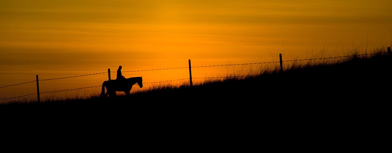 Cowboy riding at sundown