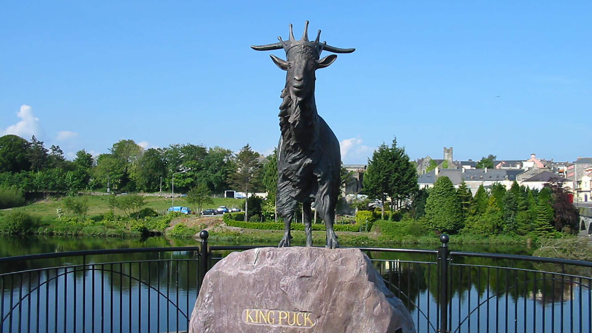Puck Fair, Killorglin, Ireland