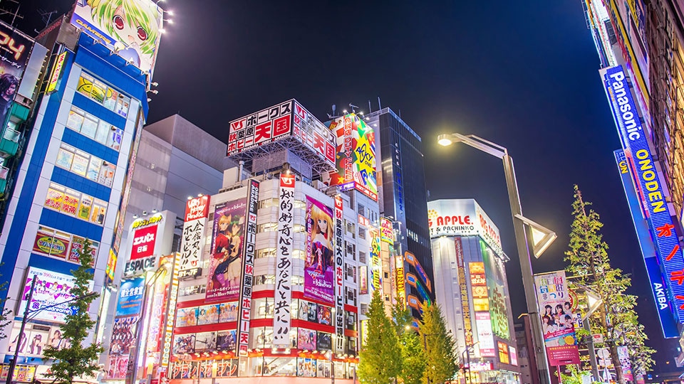 Akihabara district, Tokyo. The district is a major shopping area for electronic, computer, anime, games and otaku goods.