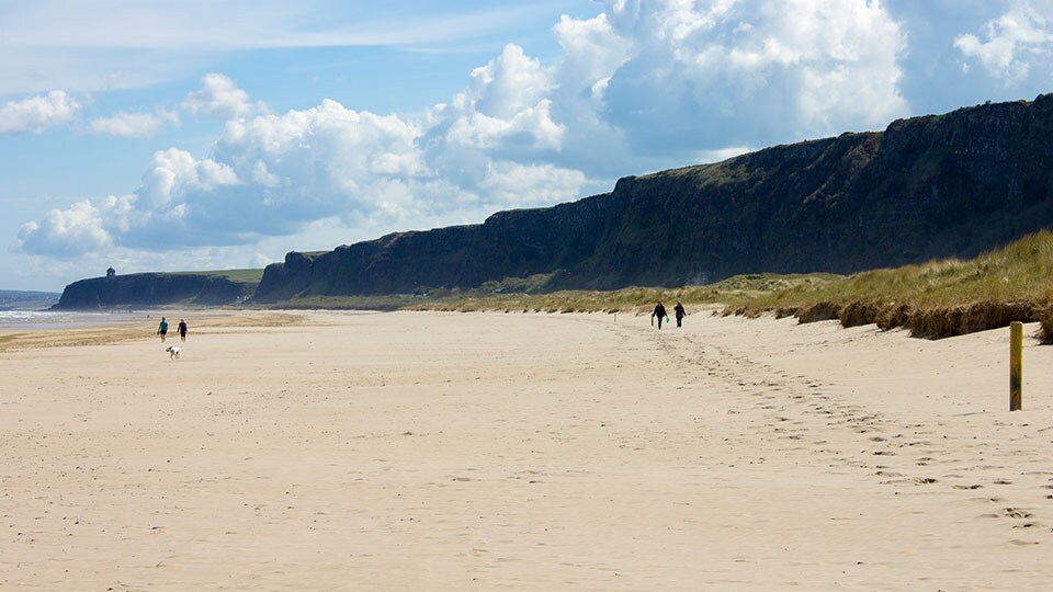 This picture depicts Benone Strand (also called Downhill Beach), one of the longest beaches in Northern Ireland at 7 miles long (11 km)