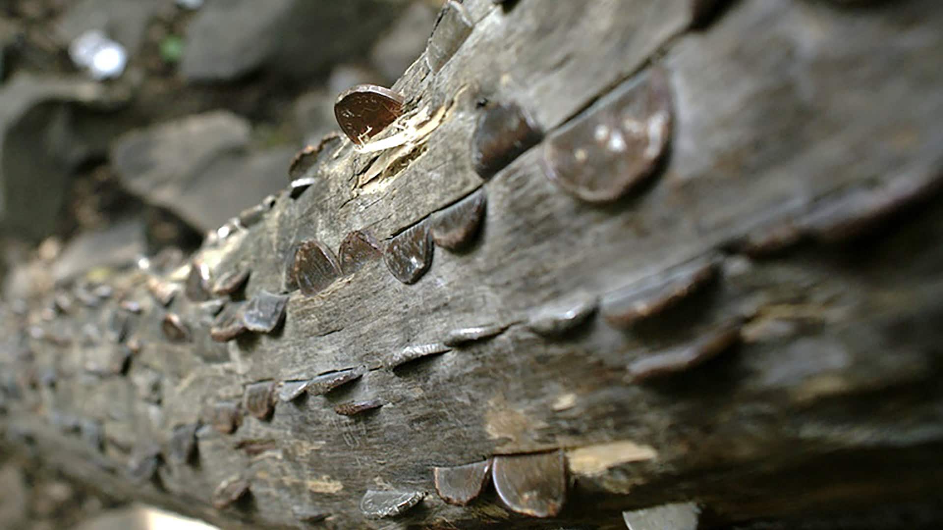 Coin Tree