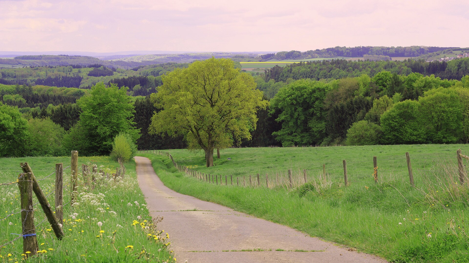 Eifel National Park 